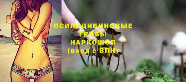 тгк Балахна