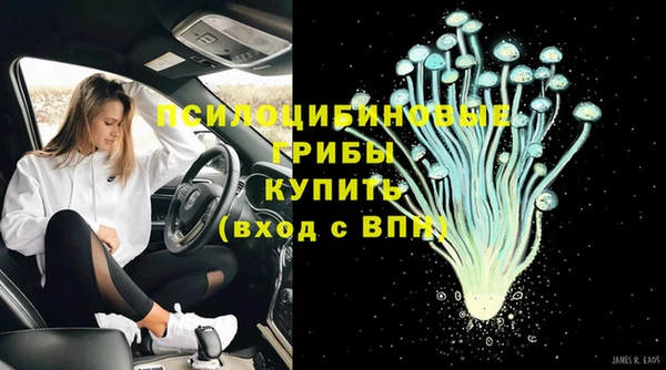 тгк Балахна