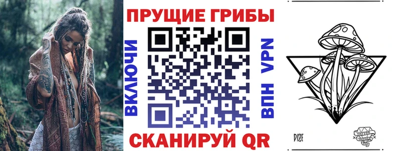 Псилоцибиновые грибы прущие грибы  Грязовец 